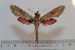  ( - BC-Basq 2597)  @13 [ ] Copyright (2010) Unspecified Research Collection of Patrick Basquin