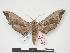  ( - PD-BC 124)  @14 [ ] Copyright (2010) Unspecified Research Collection of Philippe Darge