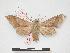  ( - PD-BC 245)  @12 [ ] Copyright (2010) Unspecified Research Collection of Philippe Darge