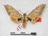  ( - PD-BC 273)  @14 [ ] Copyright (2010) Unspecified Research Collection of Philippe Darge