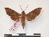  ( - PD-BC 297)  @13 [ ] Copyright (2010) Unspecified Research Collection of Philippe Darge