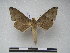  ( - PD-BC 2266)  @13 [ ] Copyright (2010) Unspecified Research Collection of Philippe Darge