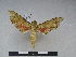  ( - PD-BC 2268)  @13 [ ] Copyright (2010) Unspecified Research Collection of Philippe Darge