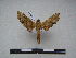 ( - PD-BC 2283)  @12 [ ] Copyright (2010) Unspecified Research Collection of Philippe Darge