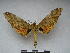  ( - PD-BC 2288)  @11 [ ] Copyright (2010) Unspecified Research Collection of Philippe Darge