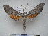  ( - PD-BC 2322)  @13 [ ] Copyright (2010) Unspecified Research Collection of Philippe Darge