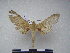 ( - PD-BC 2335)  @12 [ ] Copyright (2010) Unspecified Research Collection of Philippe Darge