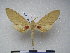  ( - PD-BC 2336)  @12 [ ] Copyright (2010) Unspecified Research Collection of Philippe Darge
