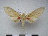  ( - PD-BC 2337)  @13 [ ] Copyright (2010) Unspecified Research Collection of Philippe Darge