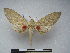  ( - PD-BC 2338)  @13 [ ] Copyright (2010) Unspecified Research Collection of Philippe Darge