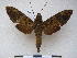  ( - PD-BC 2346)  @14 [ ] Copyright (2010) Unspecified Research Collection of Philippe Darge