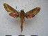  ( - PD-BC 2352)  @13 [ ] Copyright (2010) Unspecified Research Collection of Philippe Darge