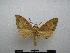  ( - PD-BC-2040)  @14 [ ] Copyright (2010) Unspecified Research Collection of Philippe Darge