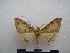  ( - PD-BC-2047)  @14 [ ] Copyright (2010) Unspecified Research Collection of Philippe Darge