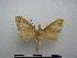  ( - PD-BC-2051)  @14 [ ] Copyright (2010) Unspecified Research Collection of Philippe Darge