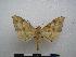  ( - PD-BC-2052)  @14 [ ] Copyright (2010) Unspecified Research Collection of Philippe Darge