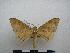  ( - PD-BC-2053)  @14 [ ] Copyright (2010) Unspecified Research Collection of Philippe Darge