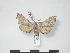  ( - PD-BC 583)  @13 [ ] Copyright (2010) Unspecified Research Collection of Philippe Darge