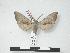  ( - PD-BC 584)  @14 [ ] Copyright (2010) Unspecified Research Collection of Philippe Darge