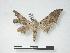  ( - PD-BC 588)  @13 [ ] Copyright (2010) Unspecified Research Collection of Philippe Darge