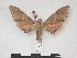  ( - PD-BC 620)  @13 [ ] Copyright (2010) Unspecified Research Collection of Philippe Darge