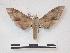  ( - PD-BC 621)  @14 [ ] Copyright (2010) Unspecified Research Collection of Philippe Darge