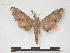  ( - PD-BC 623)  @14 [ ] Copyright (2010) Unspecified Research Collection of Philippe Darge