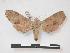  ( - PD-BC 625)  @14 [ ] Copyright (2010) Unspecified Research Collection of Philippe Darge