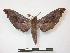  ( - PD-BC 634)  @13 [ ] Copyright (2010) Unspecified Research Collection of Philippe Darge