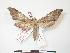  ( - PD-BC 651)  @12 [ ] Copyright (2010) Unspecified Research Collection of Philippe Darge