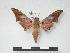  ( - PD-BC 673)  @14 [ ] Copyright (2010) Unspecified Research Collection of Philippe Darge
