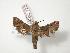  ( - PD-BC 722)  @13 [ ] Copyright (2010) Unspecified Research Collection of Philippe Darge