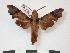  ( - PD-BC 743)  @14 [ ] Copyright (2010) Unspecified Research Collection of Philippe Darge