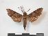  ( - PD-BC 757)  @13 [ ] Copyright (2010) Unspecified Research Collection of Philippe Darge