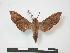 ( - PD-BC 758)  @14 [ ] Copyright (2010) Unspecified Research Collection of Philippe Darge