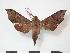  ( - PD-BC 760)  @13 [ ] Copyright (2010) Unspecified Research Collection of Philippe Darge