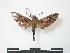  ( - PD-BC 777)  @13 [ ] Copyright (2010) Unspecified Research Collection of Philippe Darge