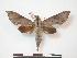  ( - PD-BC 815)  @14 [ ] Copyright (2010) Unspecified Research Collection of Philippe Darge
