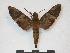  ( - PD-BC 833)  @14 [ ] Copyright (2010) Unspecified Research Collection of Philippe Darge