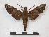  ( - PD-BC 834)  @14 [ ] Copyright (2010) Unspecified Research Collection of Philippe Darge
