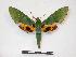  ( - PD-BC 879)  @14 [ ] Copyright (2010) Unspecified Research Collection of Philippe Darge