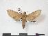  ( - PD-BC 883)  @13 [ ] Copyright (2010) Unspecified Research Collection of Philippe Darge