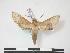  ( - PD-BC 884)  @13 [ ] Copyright (2010) Unspecified Research Collection of Philippe Darge
