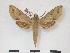  ( - PD-BC 892)  @13 [ ] Copyright (2010) Unspecified Research Collection of Philippe Darge