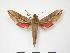  ( - PD-BC 908)  @14 [ ] Copyright (2010) Unspecified Research Collection of Philippe Darge