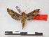  ( - PD-BC 926)  @14 [ ] Copyright (2010) Unspecified Research Collection of Philippe Darge