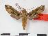  ( - PD-BC 928)  @13 [ ] Copyright (2010) Unspecified Research Collection of Philippe Darge