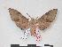  ( - PD-BC 113)  @12 [ ] Copyright (2010) Unspecified Research Collection of Philippe Darge