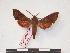  ( - PD-BC 202)  @13 [ ] Copyright (2010) Unspecified Research Collection of Philippe Darge