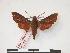  ( - PD-BC 223)  @13 [ ] Copyright (2010) Unspecified Research Collection of Philippe Darge